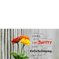 Postkarte "Entschuldigung", in 26 Sprachen - LILLYPARK