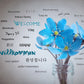 Postkarte "Willkommen", in 25 Sprachen - LILLYPARK