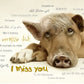 Postkarte "I miss you", in 20 Sprachen - LILLYPARK